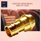 1/2" - 3/4" PEX Expansion Press Coupling Brass Adapter - for Copper and PEX Pipe Connection - Durable 1/2" - 3/4" Press X 1/2" - 3/4" Crimp Fittings for Seamless Installation